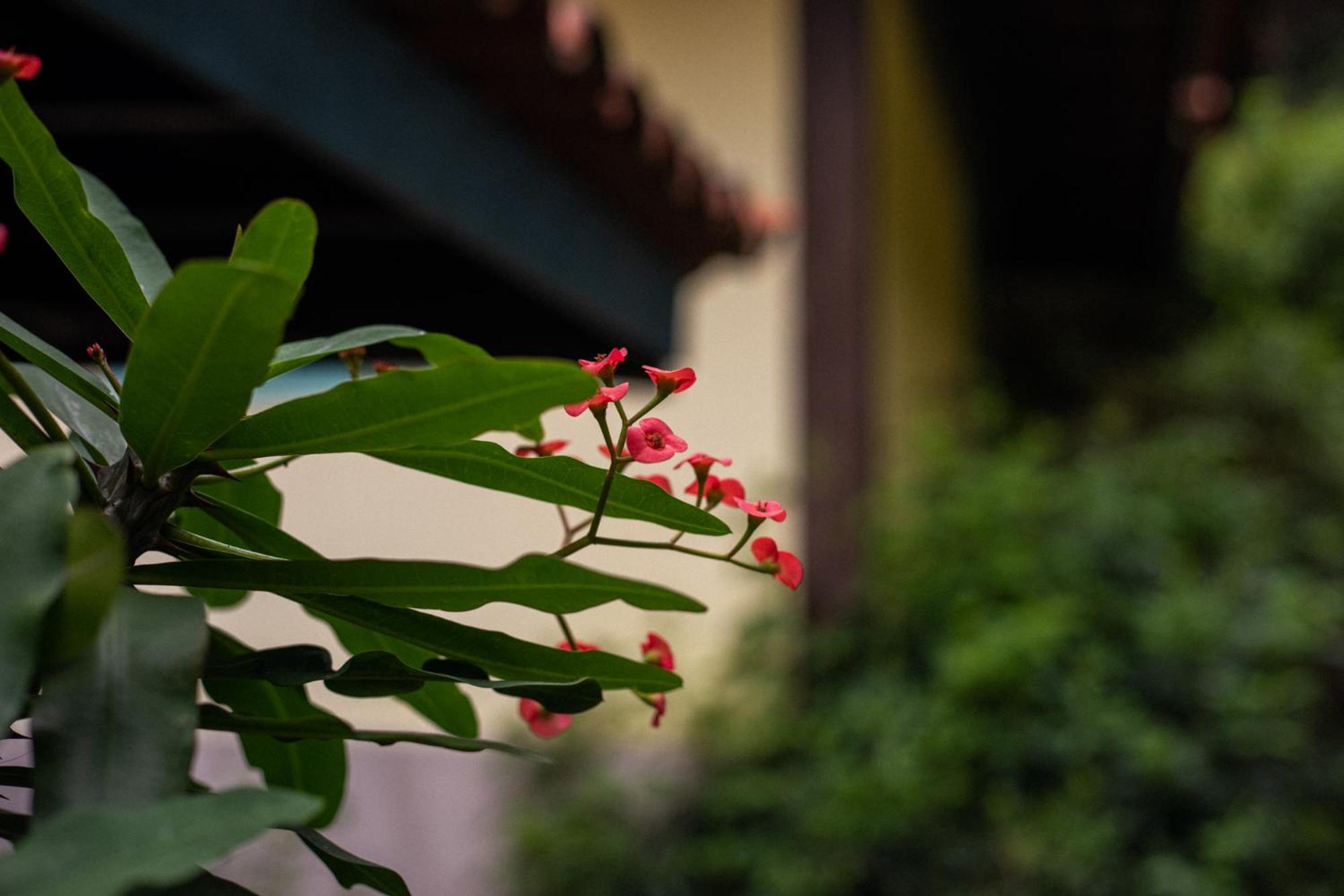 Hibiscus Beach Armacao dos Buzios ภายนอก รูปภาพ