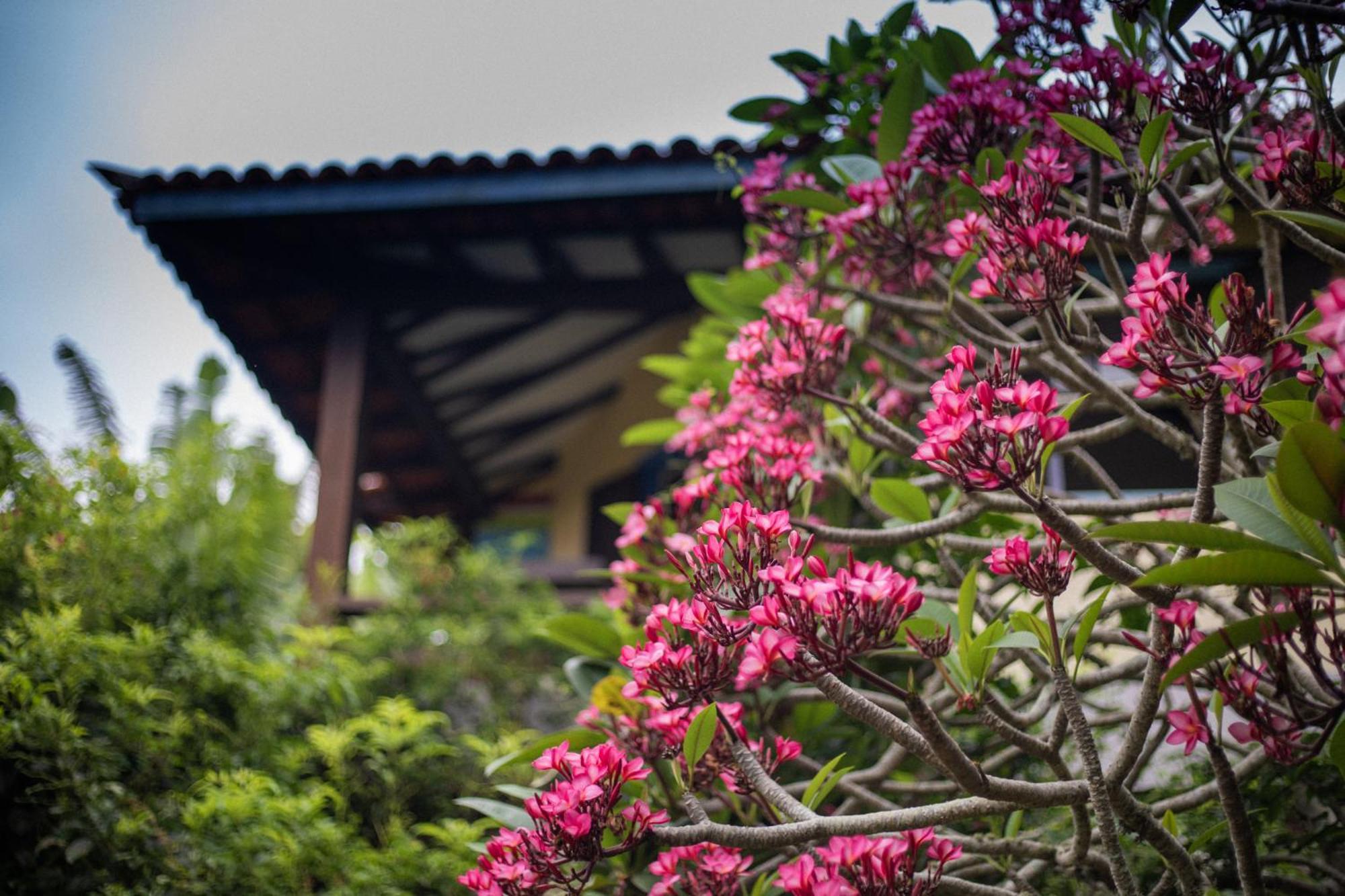 Hibiscus Beach Armacao dos Buzios ภายนอก รูปภาพ